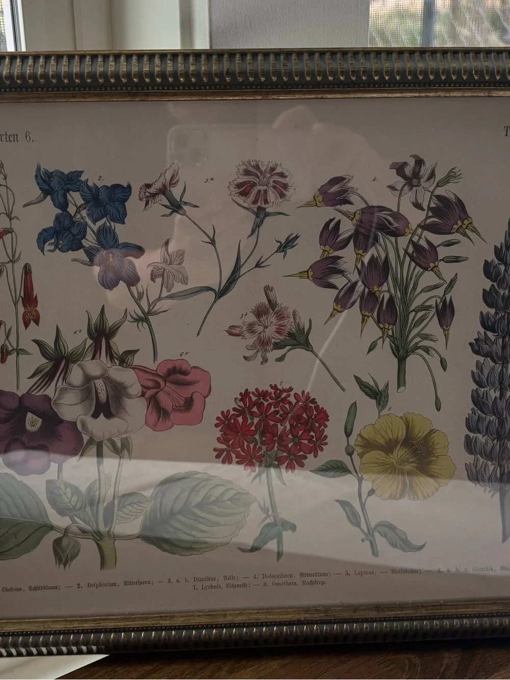 Floral Botanical Print Wall Art in Multi-Color